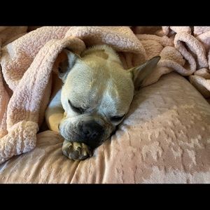 Meet your Posher, Miranda